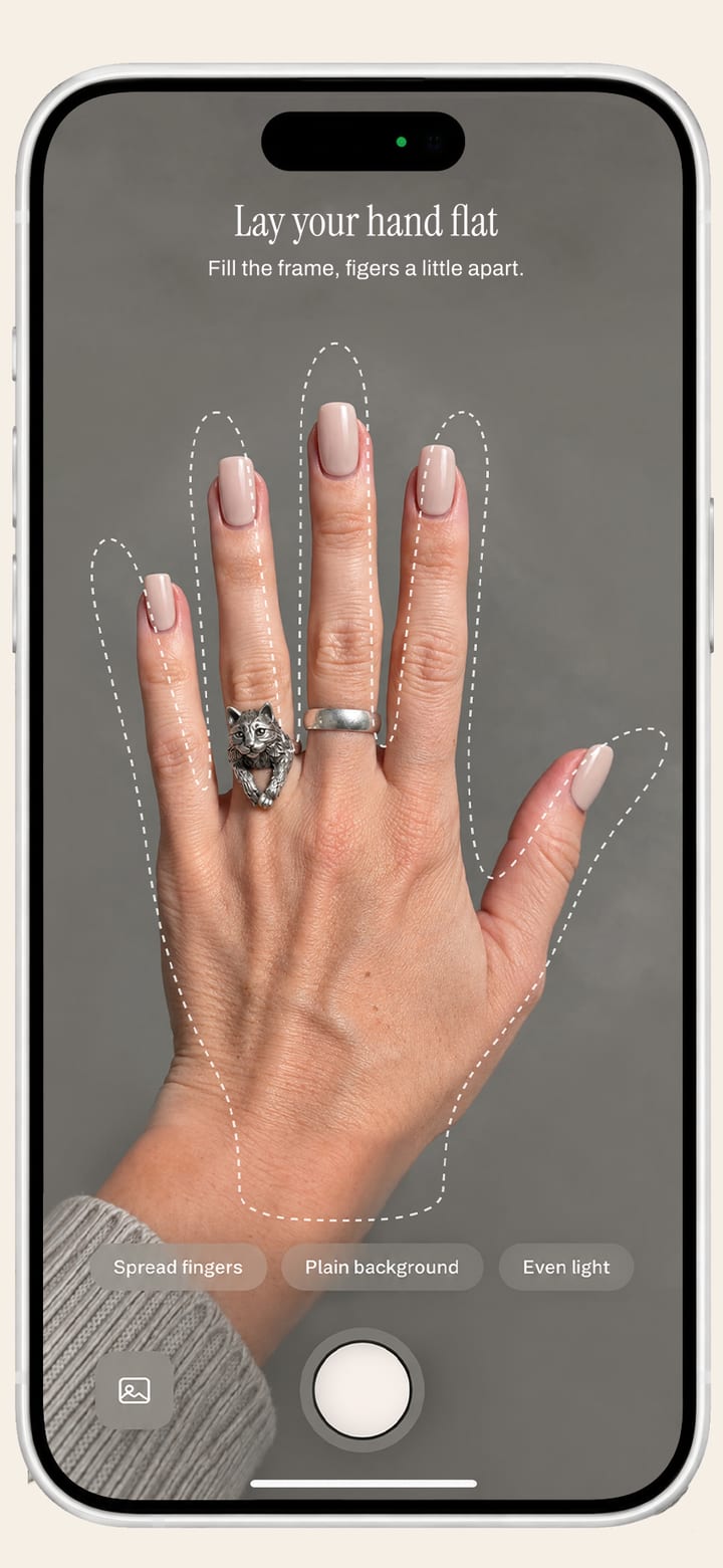 The capture screen: a hand wearing two rings lying flat, filling the frame, with a dashed outline showing where to place it and the prompt "Lay your hand flat".
